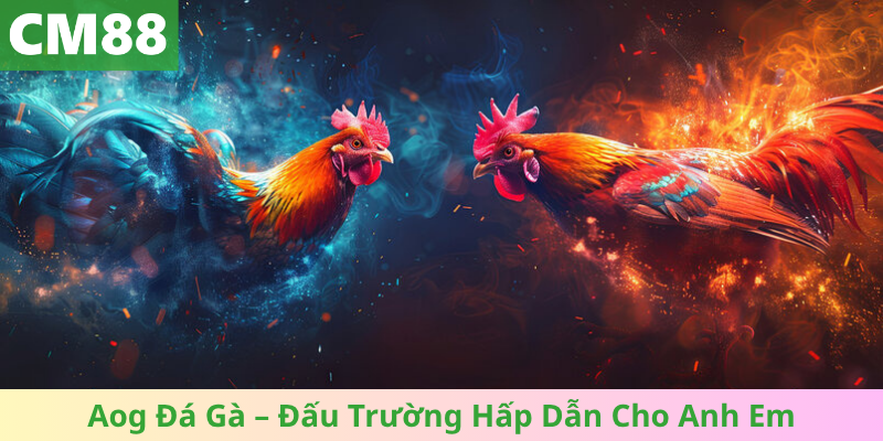 Aog Đá Gà – Đấu Trường Hấp Dẫn Cho Anh Em